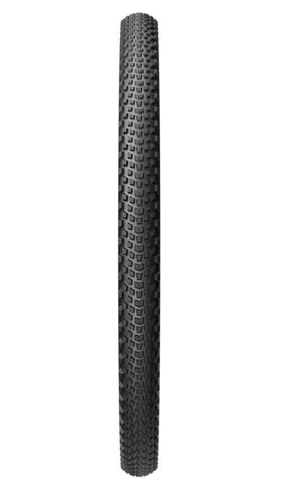 Scorpion XC H Pro Wall - schwarz