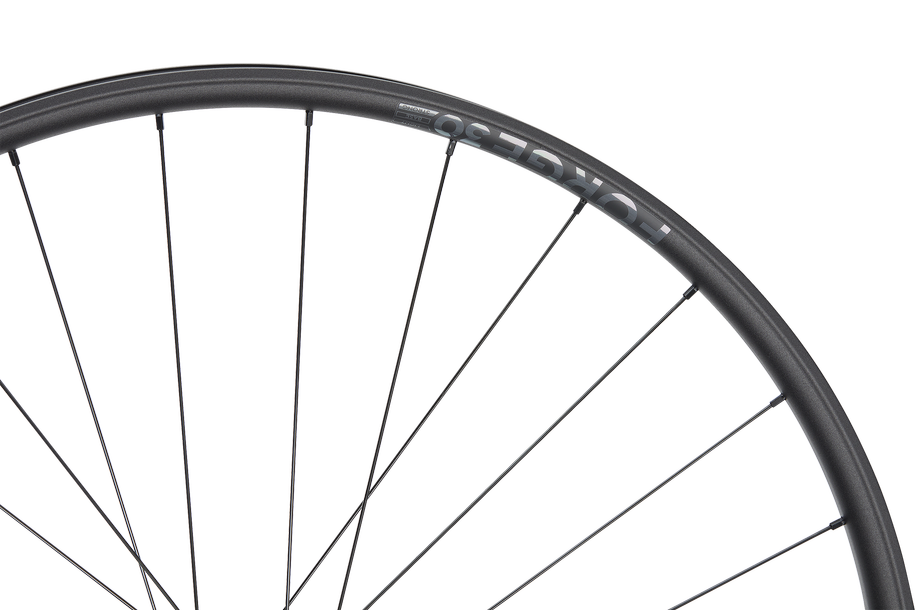 Forge 30 DH Strong 27.5" Aluminium, 6 Bolt, 15/20x110 mm - black