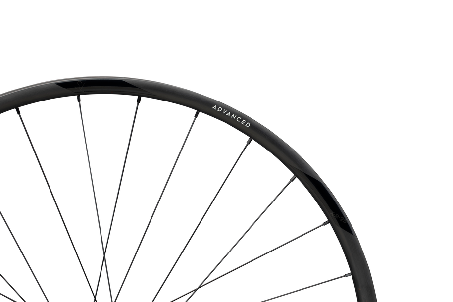 Advanced SL X.R.25 Carbon, Centerlock, 12x142 mm, Shimano Micro Spline - black
