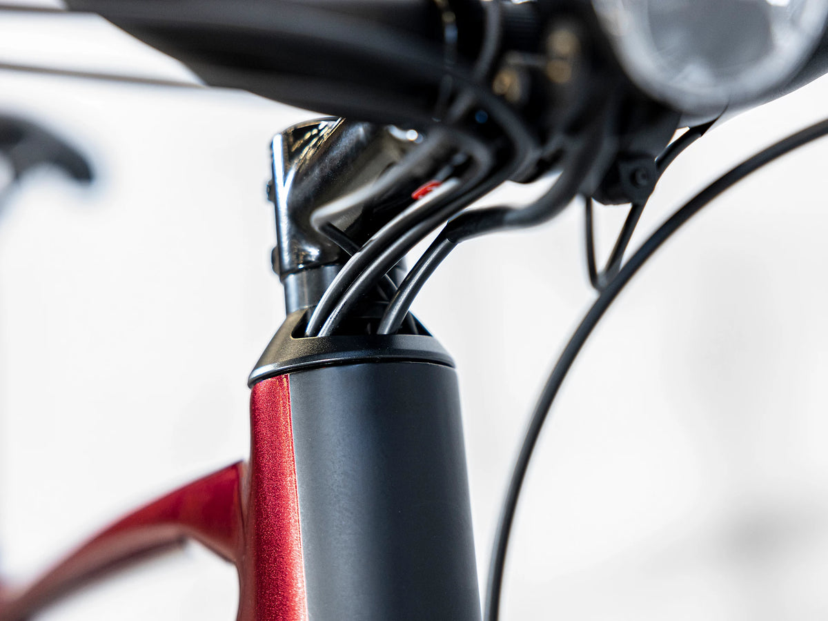 Allant+ 5 Rage Red 545Wh