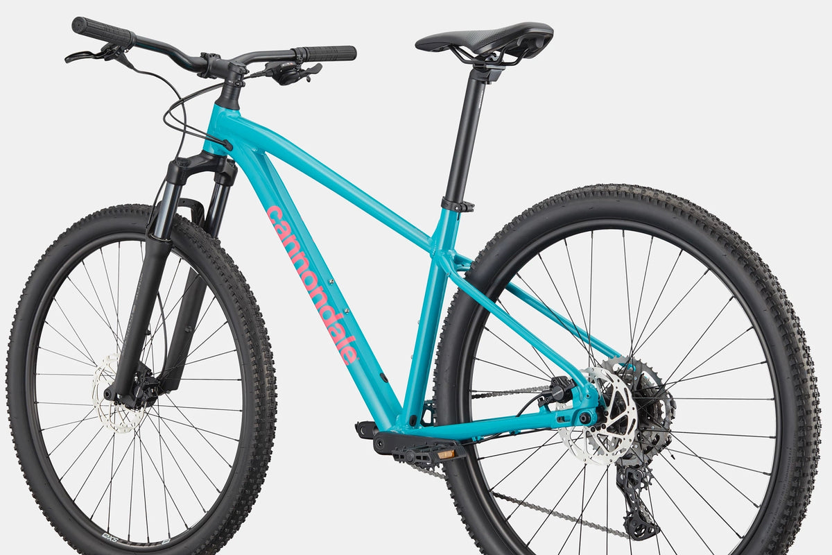 Trail 2 - Ion Blu
