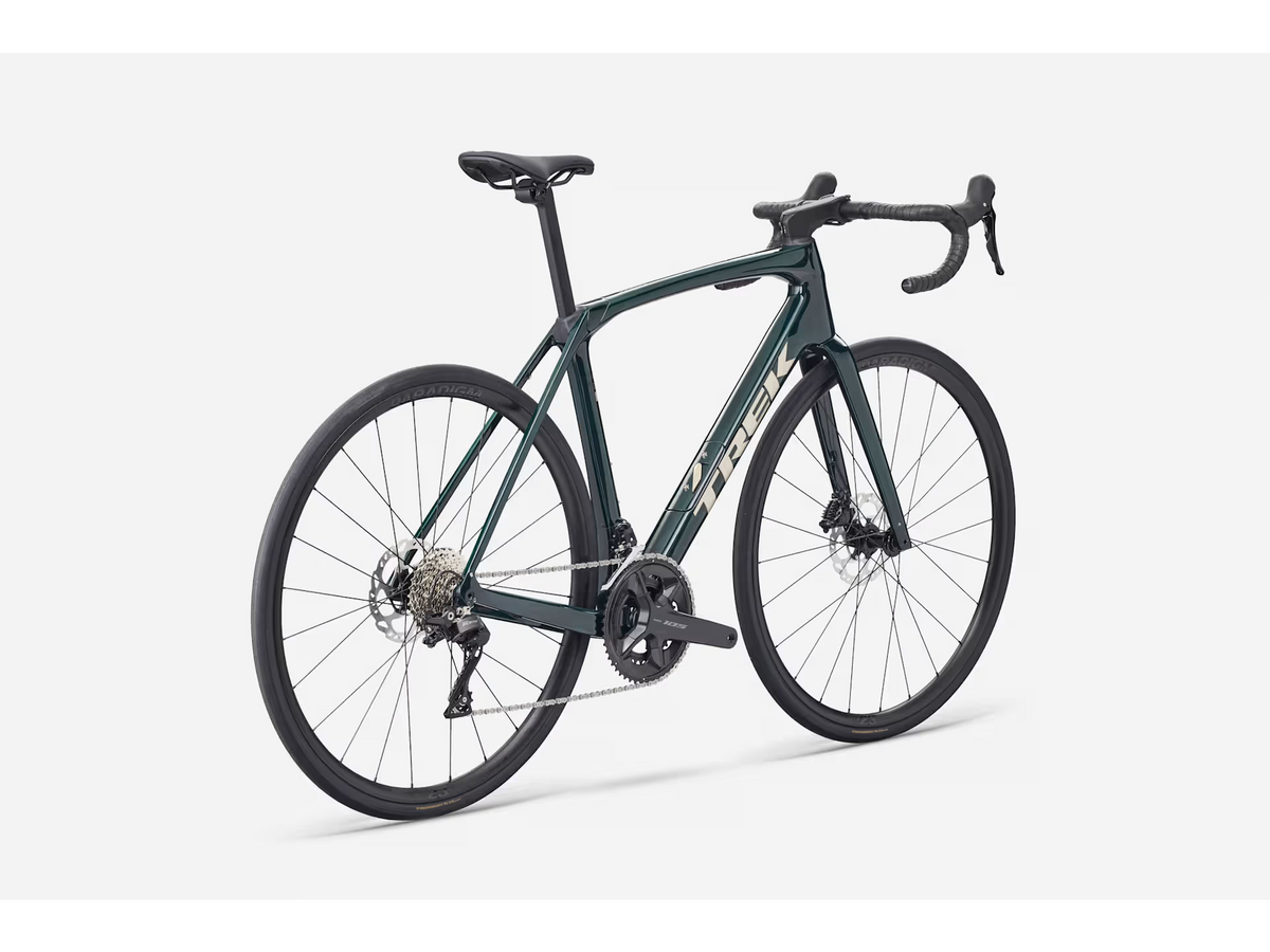 Domane SL 5 Gen 4 - Ivy Smoke