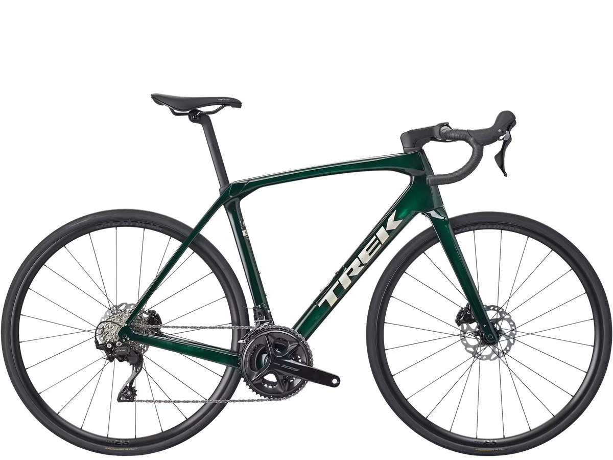 Domane SL 5 Gen 4 - Ivy Smoke