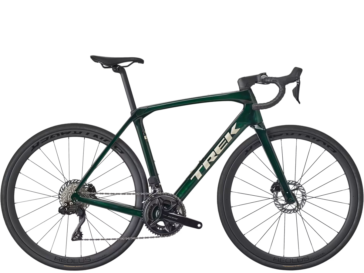 Domane SL 6 Gen 4 - Ivy Smoke