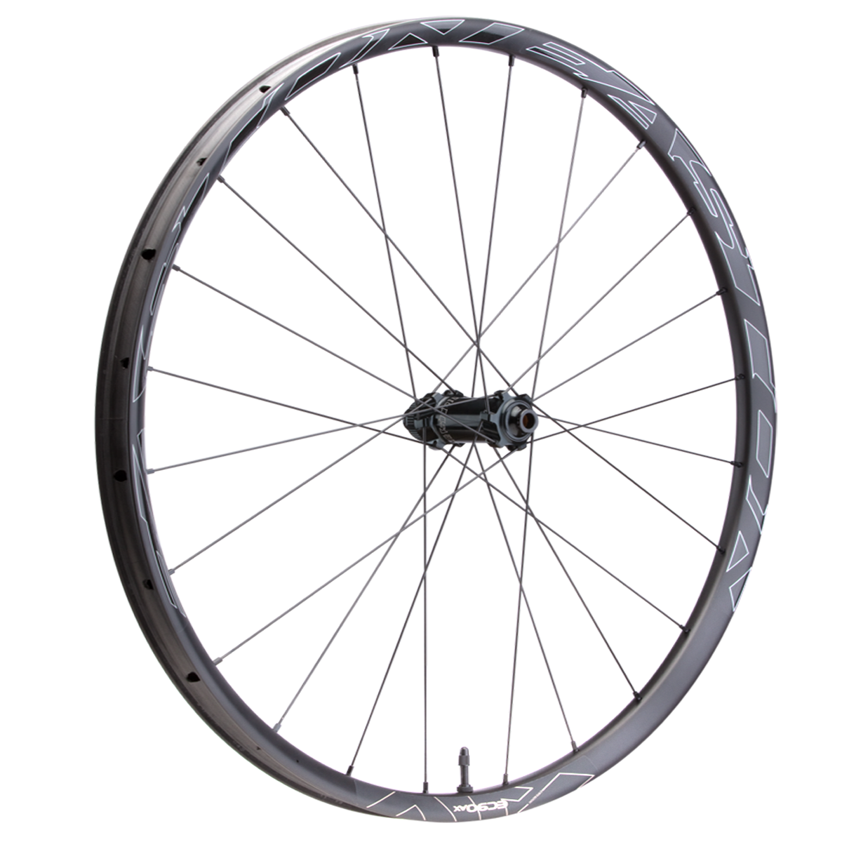 Laufrad EA90 AX Disc Front 700c - 12x100