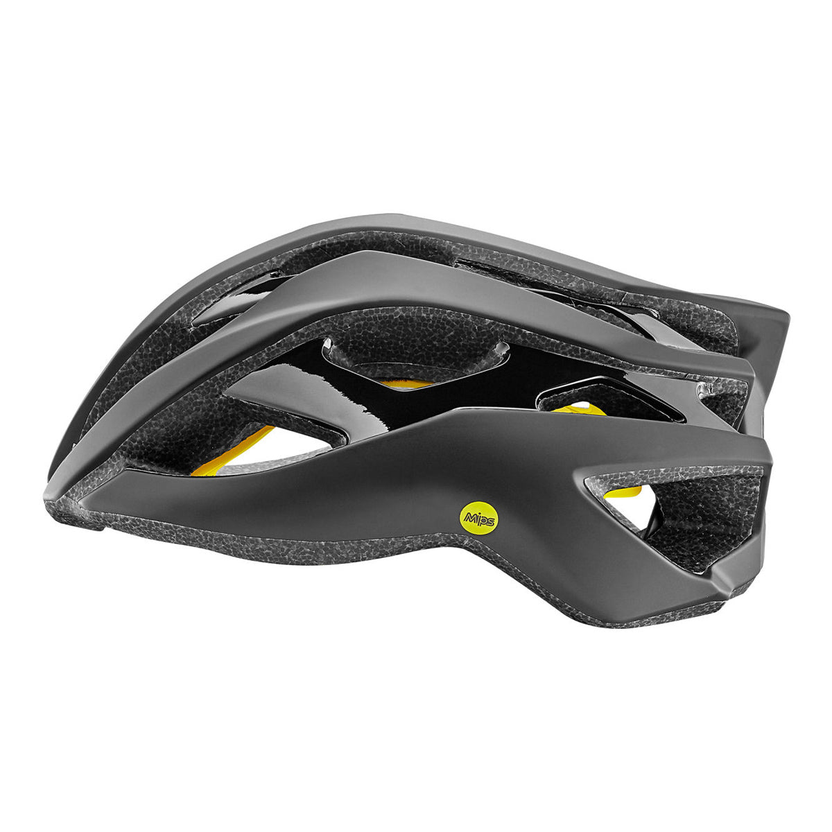 Rev MIPS Helmet - Metallic Silver/Matte Black