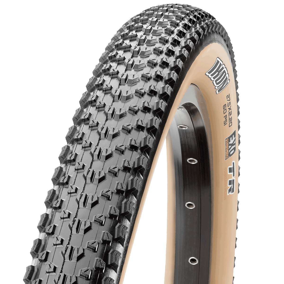 Ikon pneu pliable - 29 x 2.2 pouces - Dual - EXO - tanwall