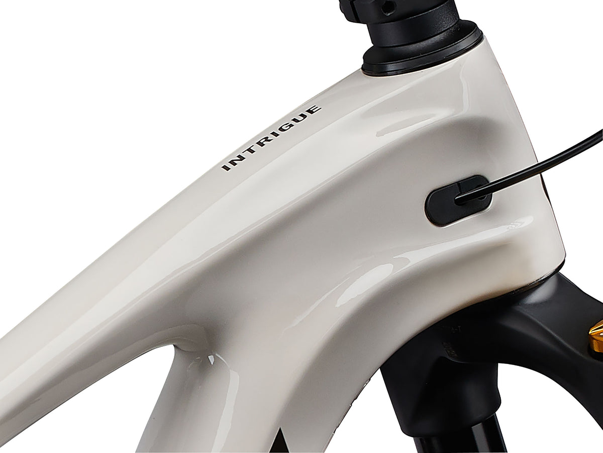 Intrigue LT Advanced 2 - Mushroom