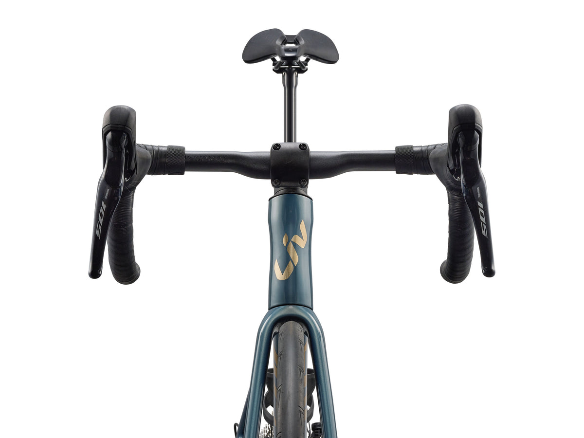 EnviLiv Advanced 2 - Midnight Pine