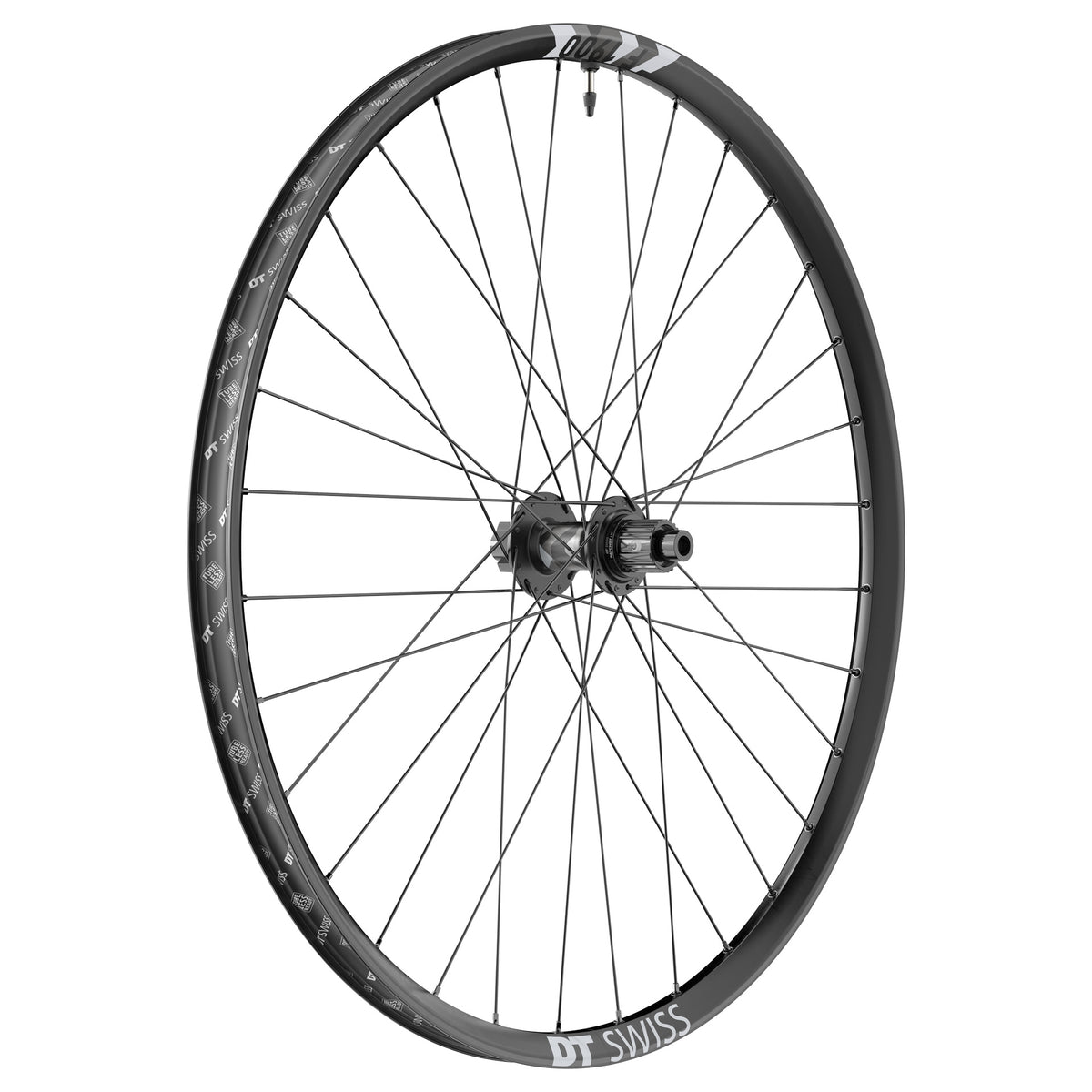 F 1900 Classic 29", 30 mm Alu, IS-6 Loch, HR 148/12 mm, Shimano MicroSpline