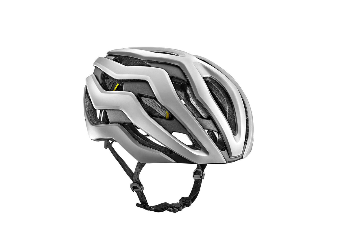 Rev Pro MIPS Helm silber matt