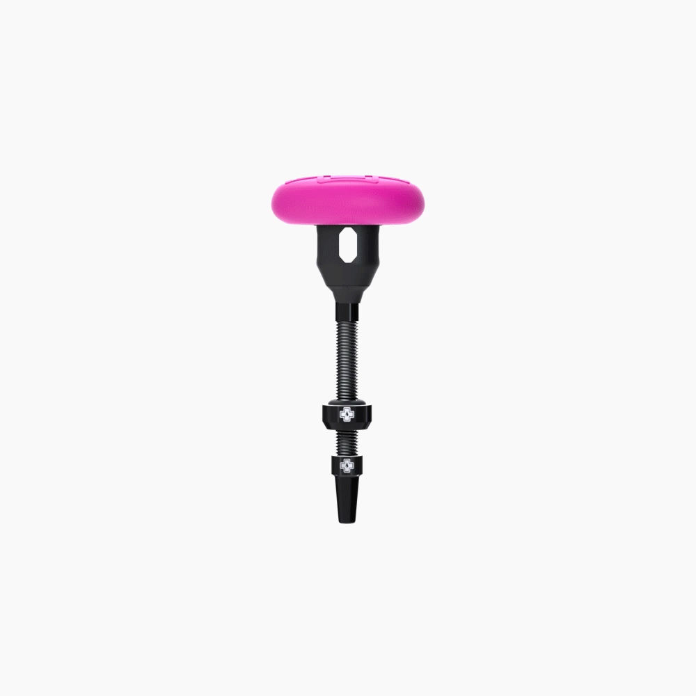Tubeless Tag Holder & 44 mm Ventile - schwarz
