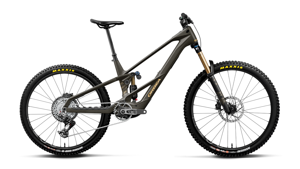 Wild LT M-Team RS Mullet - Magic Gold Carbon View (Matt)/Titan Gold (Gloss)