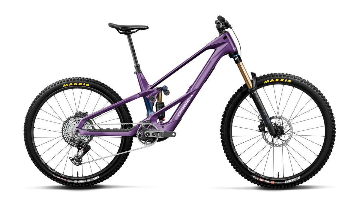 Wild LT M-Team RS Mullet - Royal Plum/Noctiluca Carbon View (Gloss)
