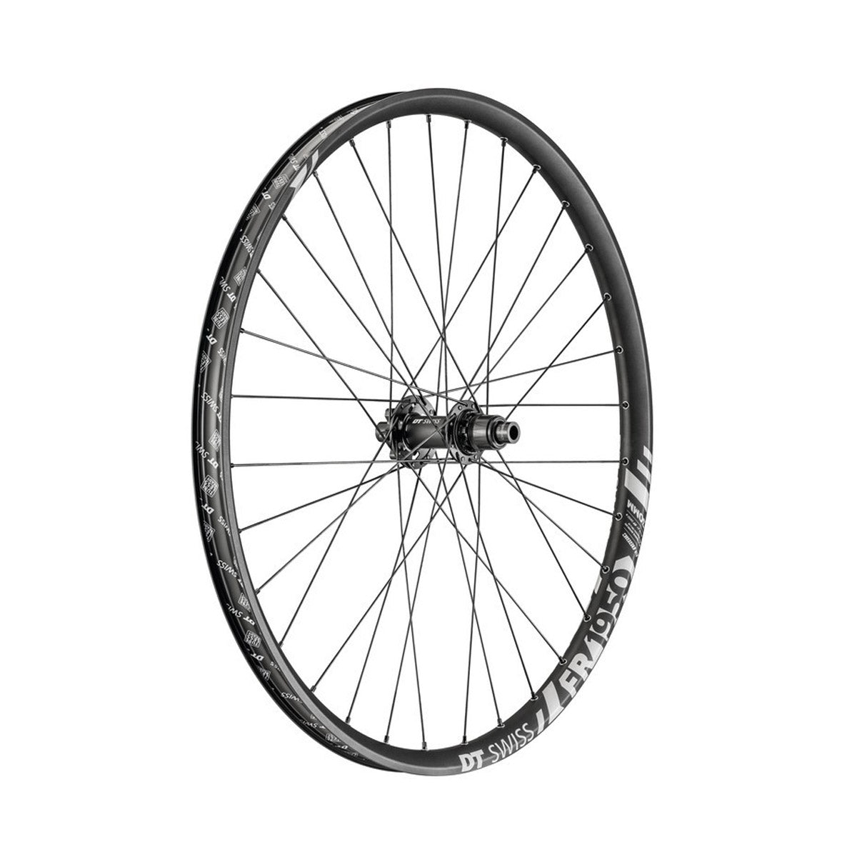 FR 1950 Classic DB 29 pouces roue arrière, 30mm Alu, IS-6Loch, Shimano, 150/12mm TA