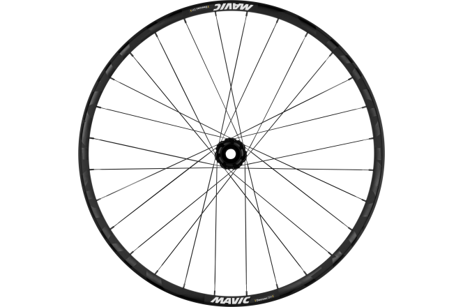 DEEMAX DH 29 Front Wheel, 6 bolt, 20x110 mm