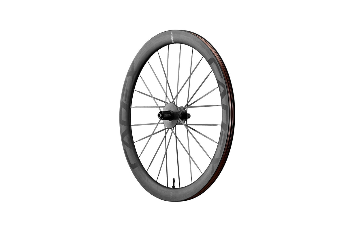 Rear Wheel MAX 50 Tubeless Disc, 12 x 142 mm - Shimano HG/Sram XDR