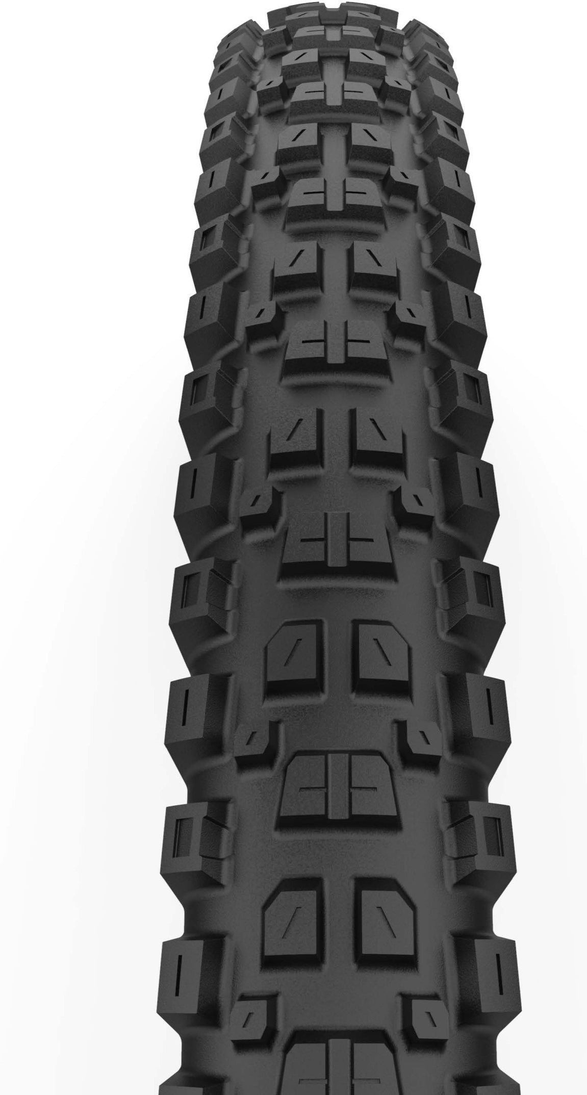 Cast Protagonist, Hard WALL, 29" Folding Tyre TLR - black