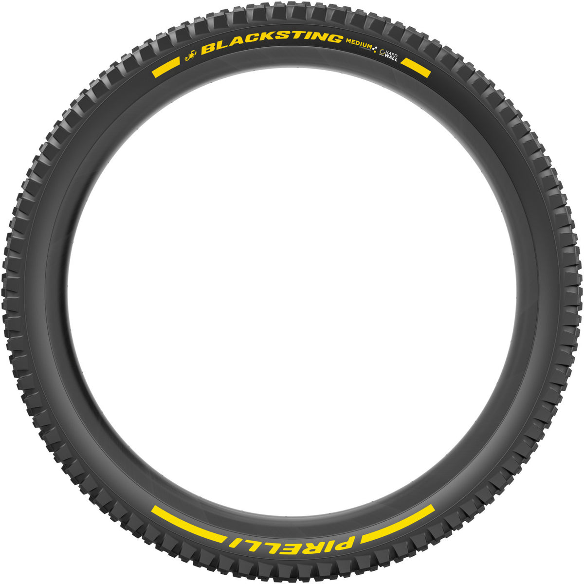 Scorpion Blacksting, HardWall, Medium, 29“ vouwband TLR - Team Edition