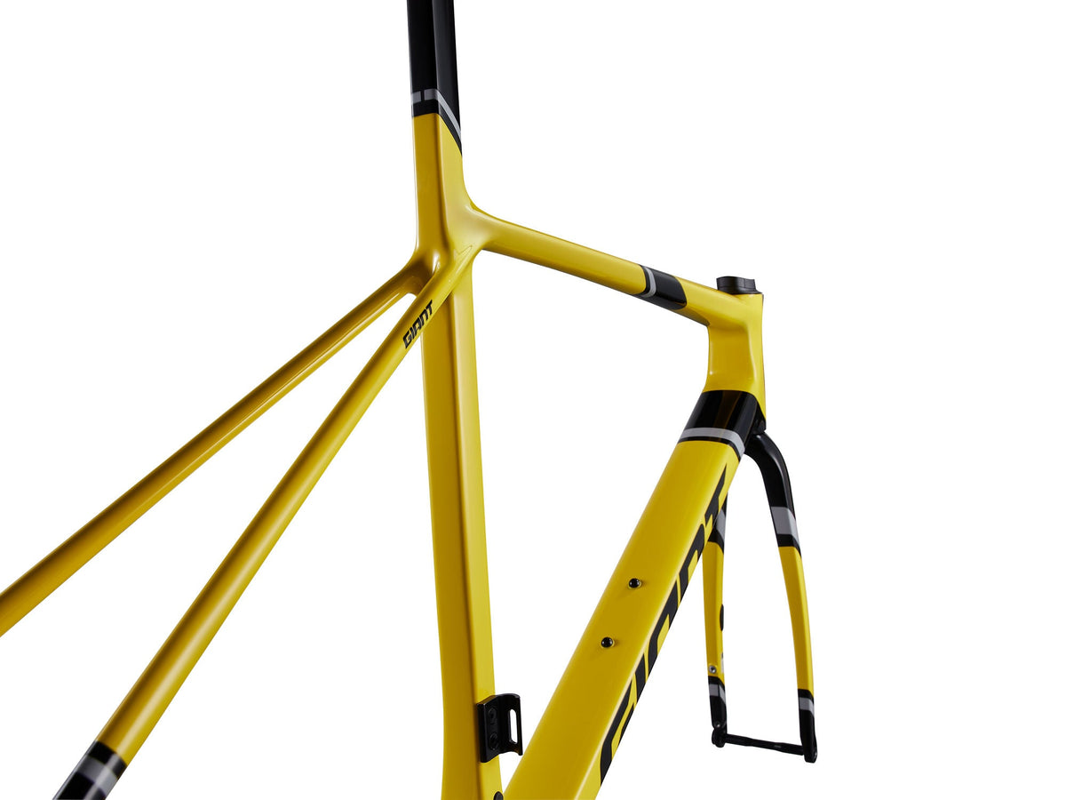 TCR Advanced SL Rahmenset - Legends Edition Giant