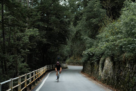 Kit de roulements BB ALPHA pour Campy Ultra Torque Route