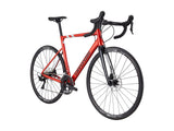CAAD13 Disc 105 Candy Rood