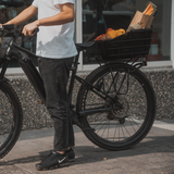 Urban Basket DX 22L Aluminum