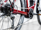 Allant+ 5 Rage Red 400Wh