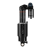 Vivid Ultimate RC2T D1, Trunnion/Standard - 205 mm