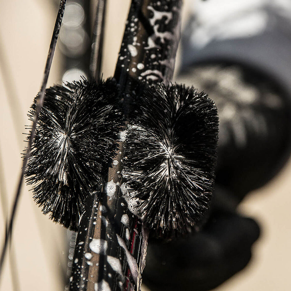 Two Prong Brush
