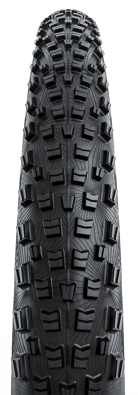 Trinotal Race, Rapid Comp, 29" Folding Tire TLR - black 