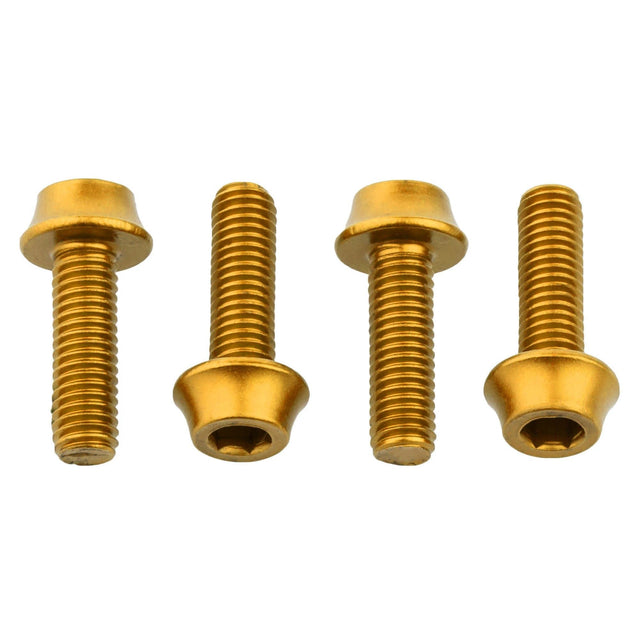 Flaschenhalter Aluminiumschrauben - M5 x 15 mm - gold