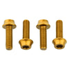 Flaschenhalter Aluminiumschrauben - M5 x 15 mm - gold