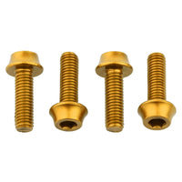 Flaschenhalter Aluminiumschrauben - M5 x 15 mm - gold