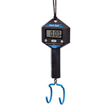 DS-1 Digital Scale