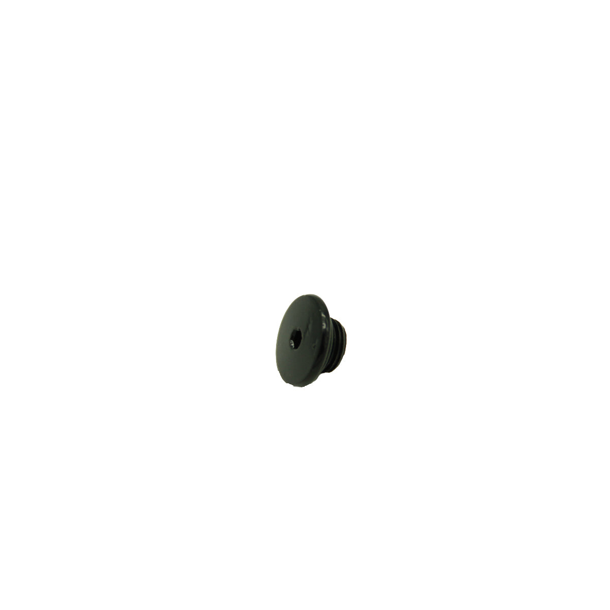 Bleeder screw with gasket