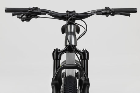 Eccentric Mini Pro - Black NS Bikes