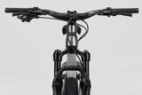 Eccentric 20 Youth Trail - Dark Chrome NS Bikes