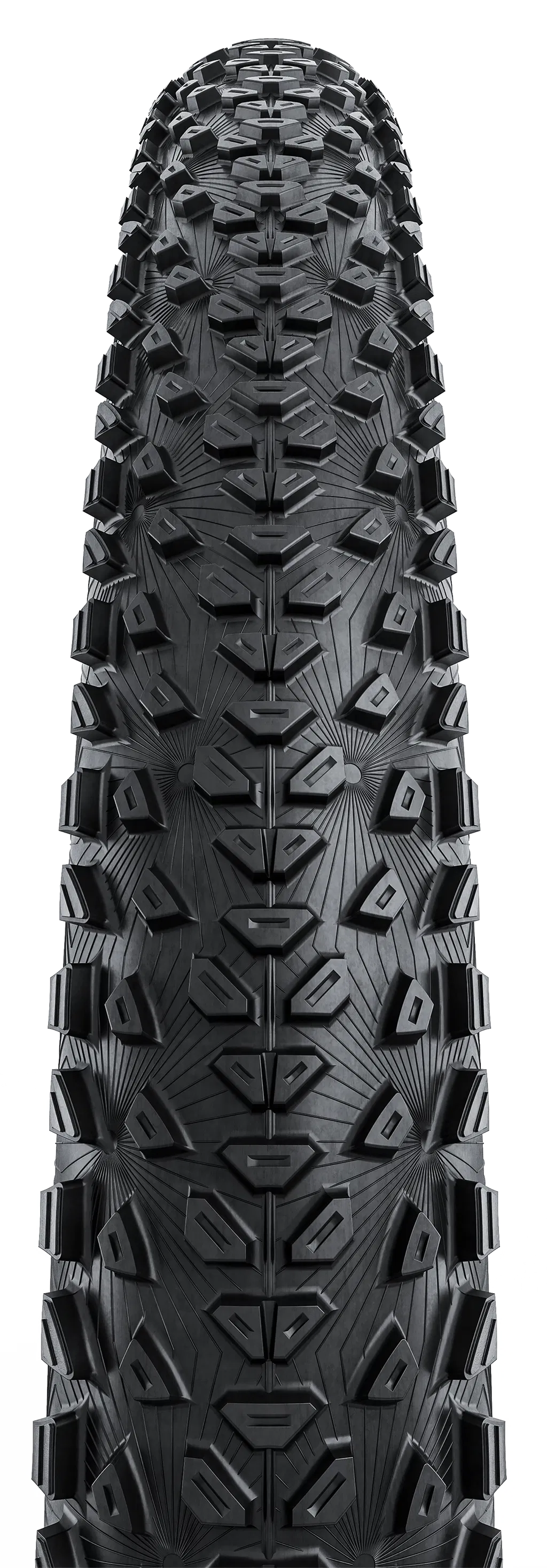 Dubnital Trail, Rapid Comp, 29" Folding Tire TLR - black/brown 