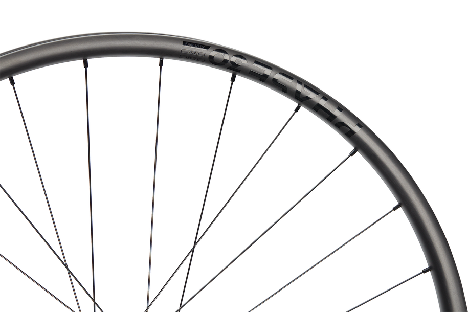 Phase 30 Enduro Strong 29" Carbon, 6 fori, 12x148 mm, Shimano Micro Spline - nero