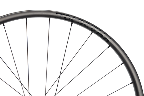 Phase 30 Enduro Strong 29" Carbon, 6 Bolt, 12x148 mm, Shimano HG - black