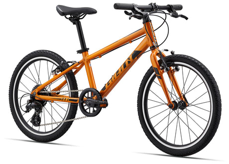 ARX 20 Metallic Orange