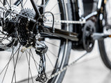 Allant+ 5 Tiefeinsteiger Trek Black 725Wh