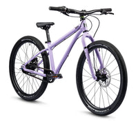 Belter 24 - Violet Haze