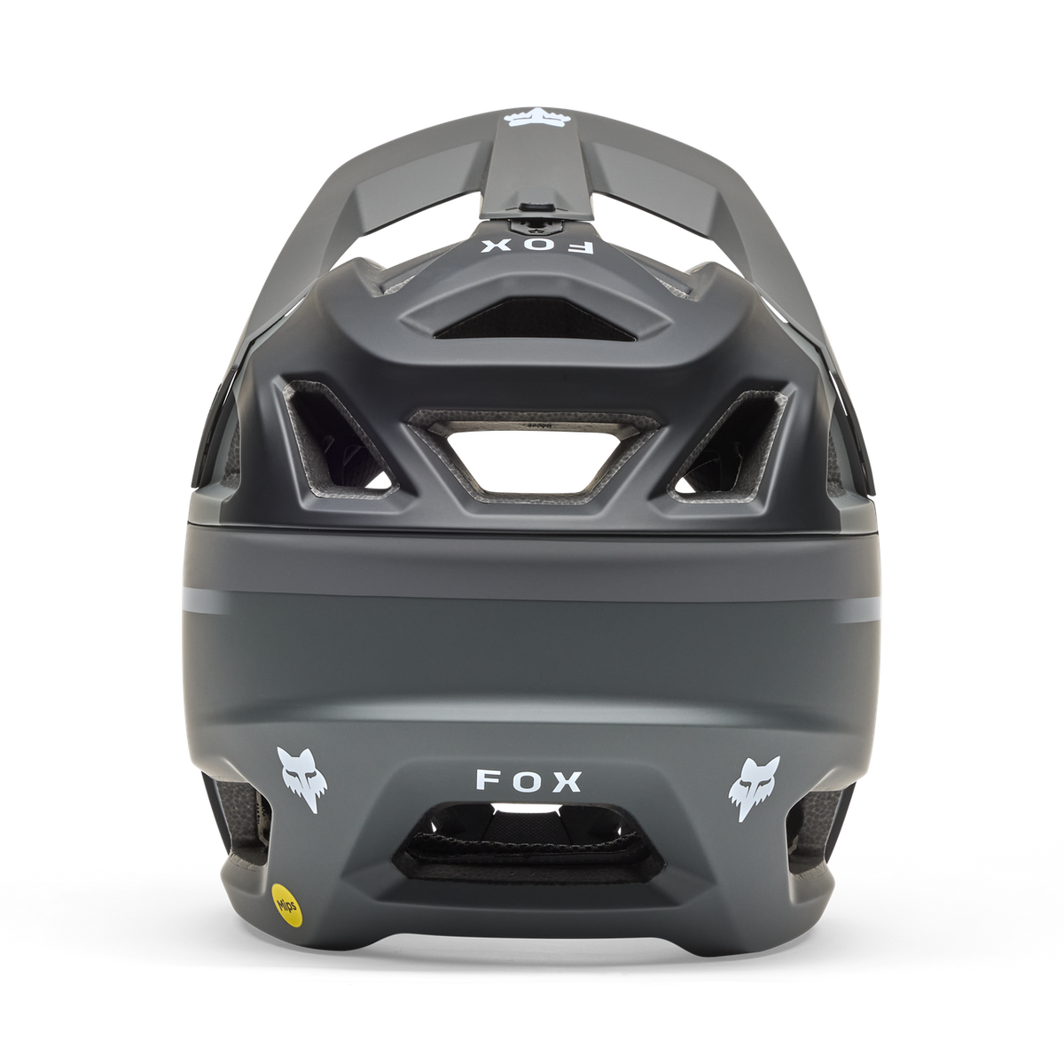 Proframe Rizer CE - Ombre Foncée