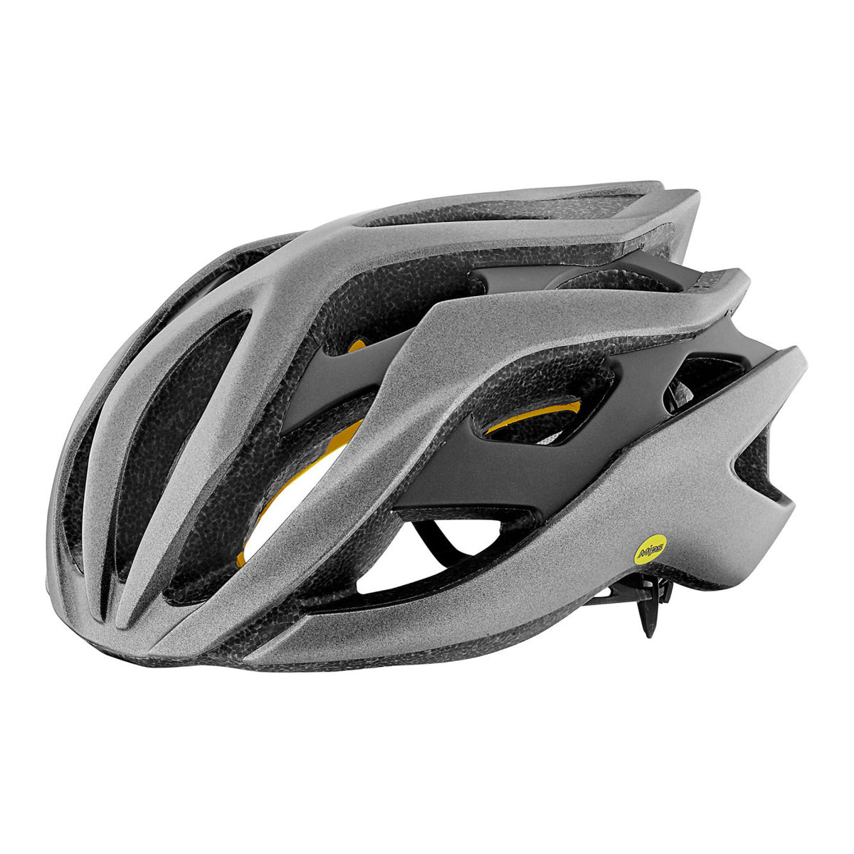 Rev MIPS Helmet - Metallic Silver/Matte Black