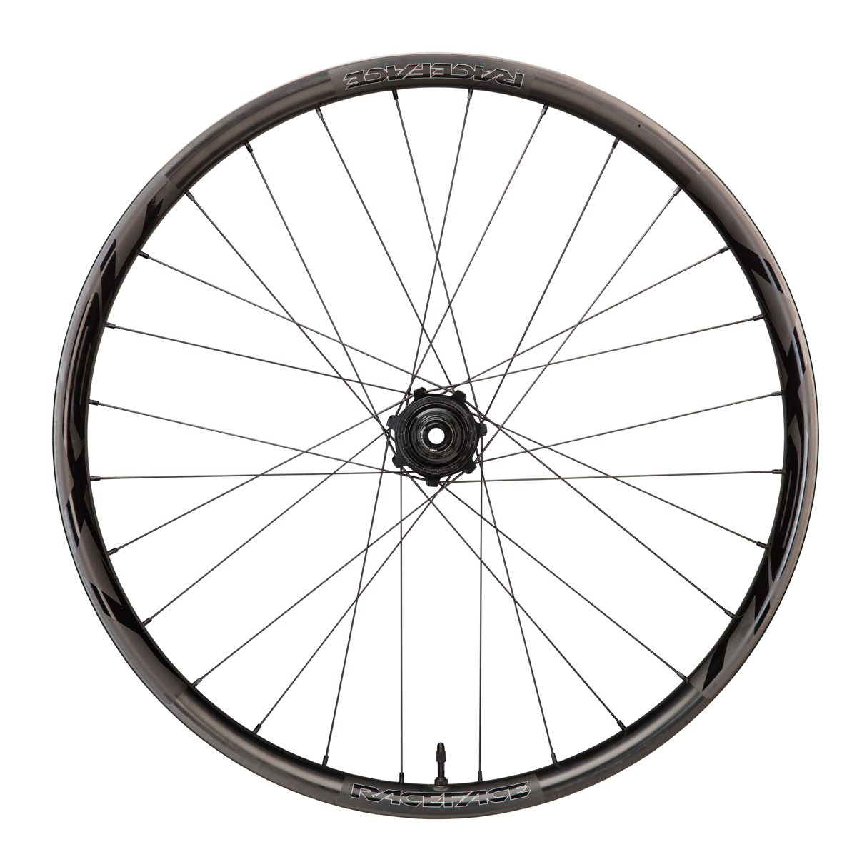 Next R rueda trasera 29 pulgadas 12x142mm
