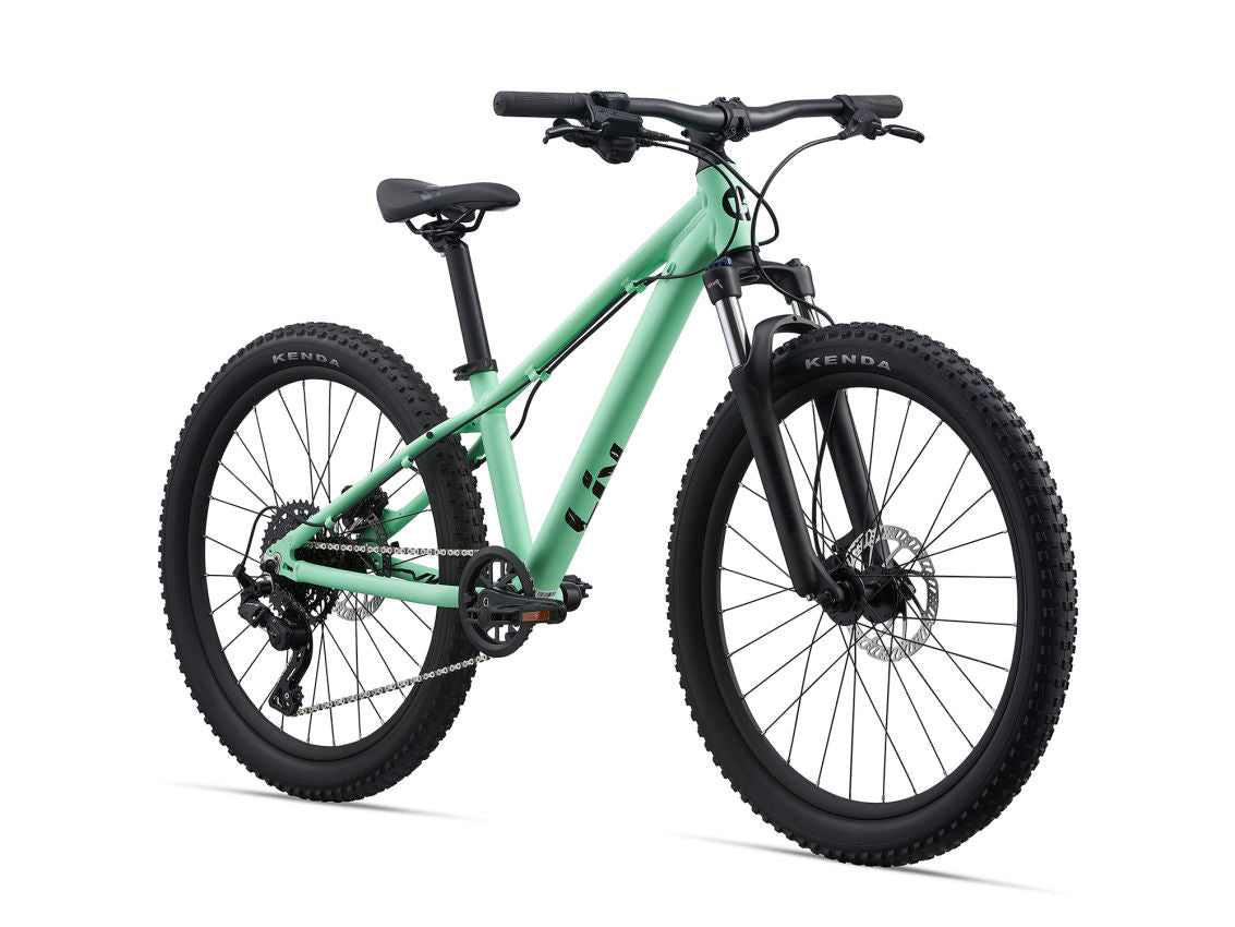STP 24 FS Neo Menthe
