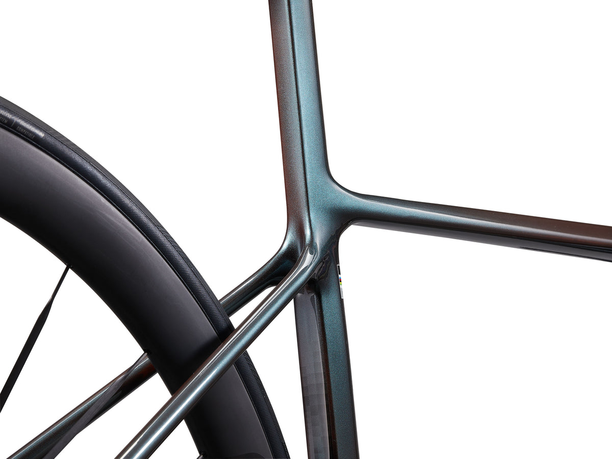 Langma Advanced SL - Tahitian Pearl