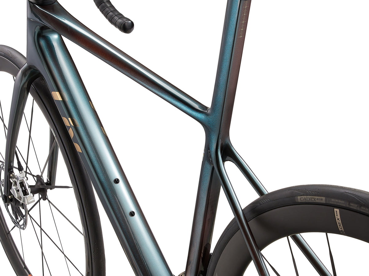 Langma Advanced SL - Tahitian Pearl